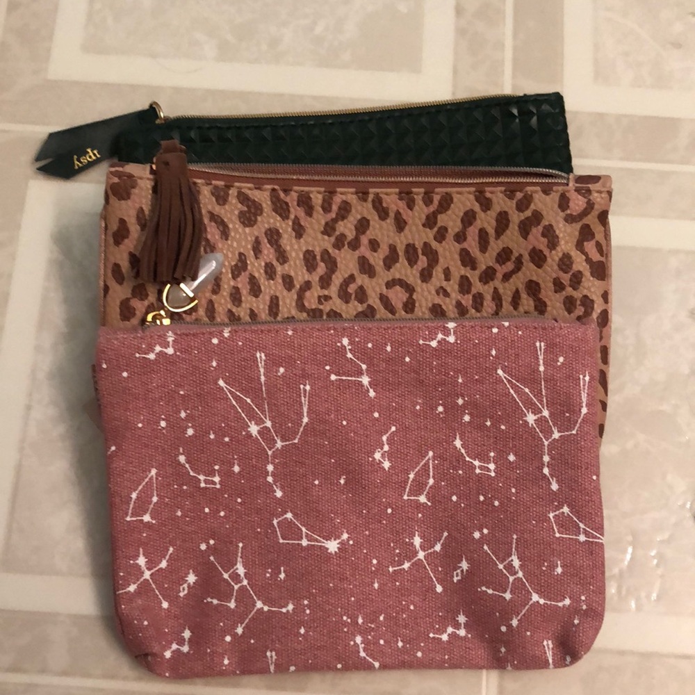 Ipsy cute makeup pouches